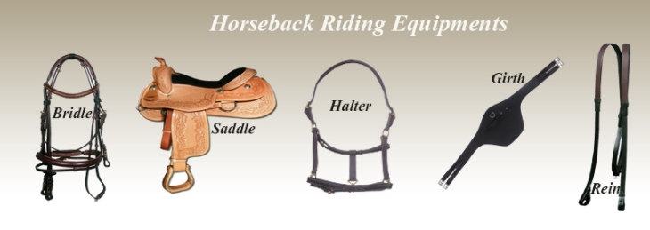 horseback riding equipments